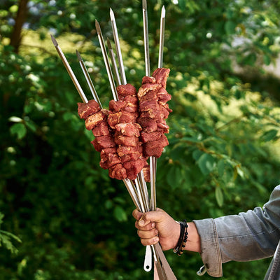 Rotisserie skewers (set of 9) .66 (LeCHEF)
